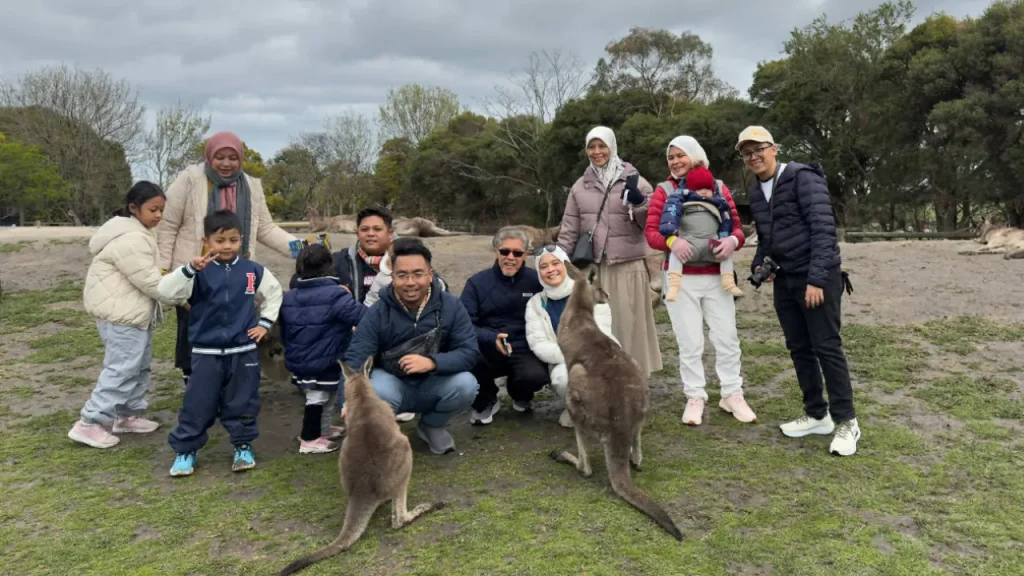 Kangaroo Melbourne Australia