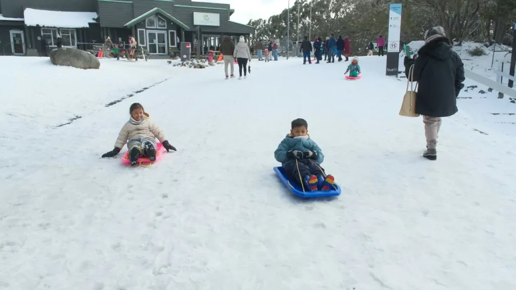 Toboggan di mt baw baw