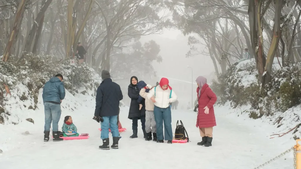 salji di mt baw baw