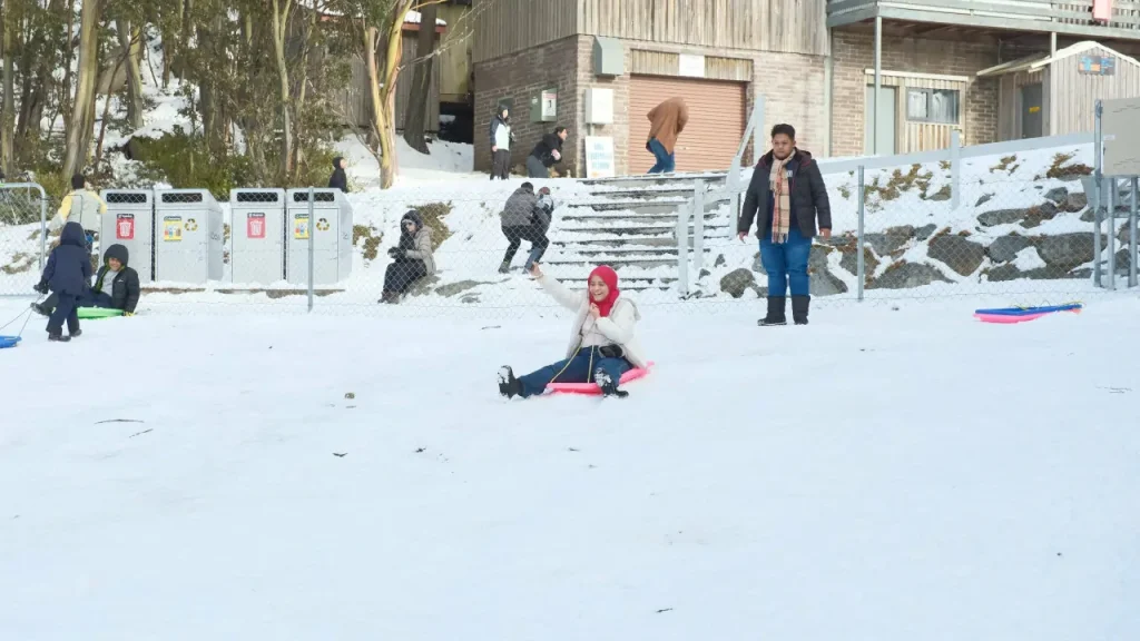 toboggan mt baw baw