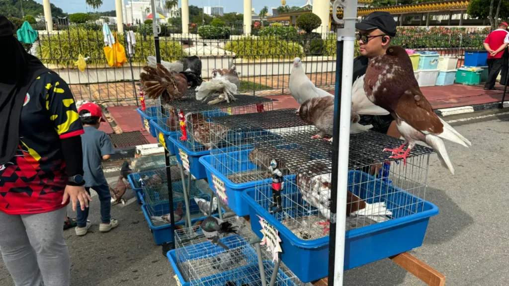 Bandarku Ceria