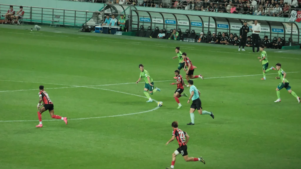 FC Seoul Match