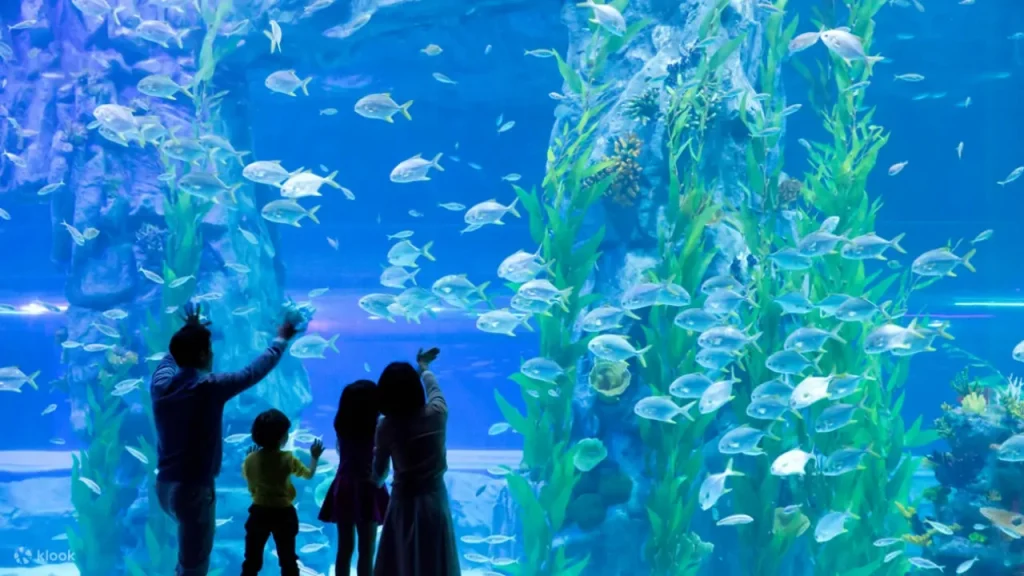 Lotte World Aquarium Ticket in Seoul