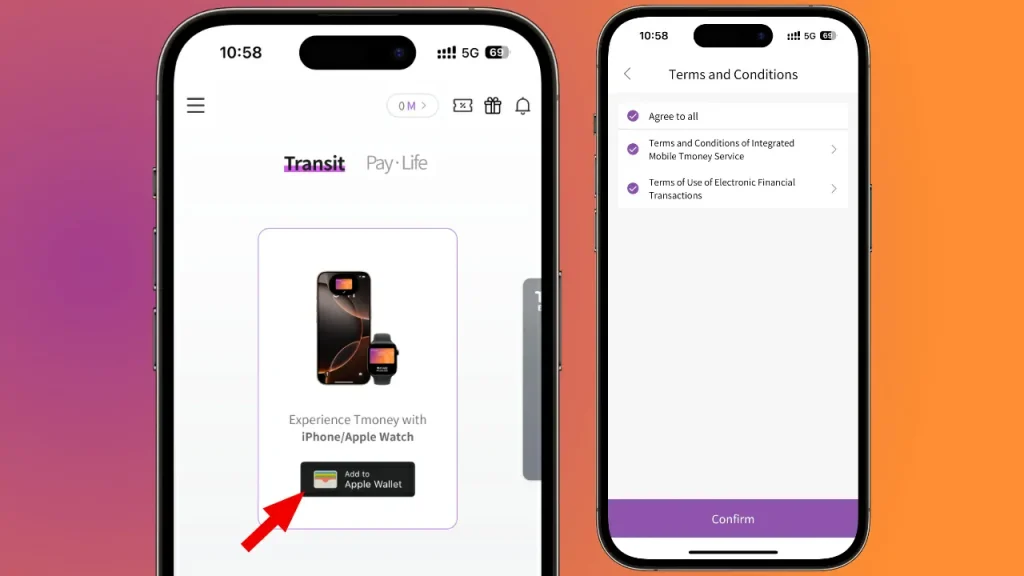 cara guna tmoney di iphone