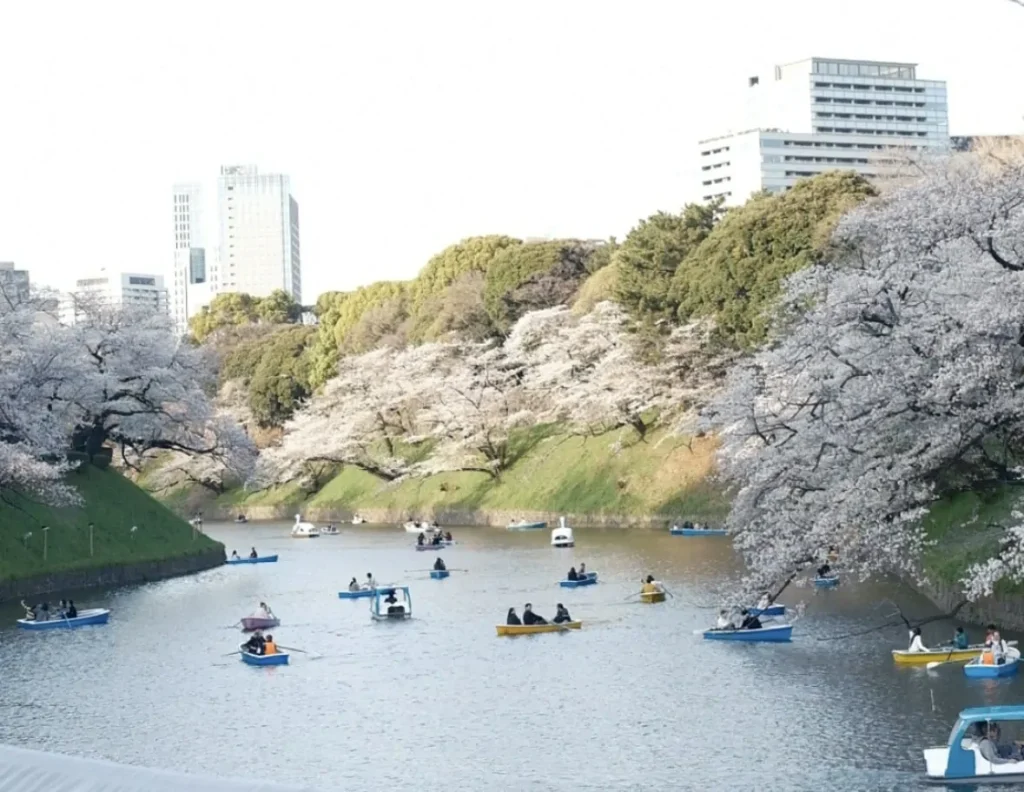 chidorigafuchi tokyo