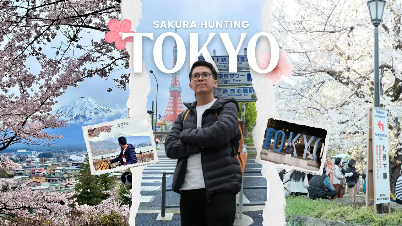itinerari ke tokyo - musim sakura