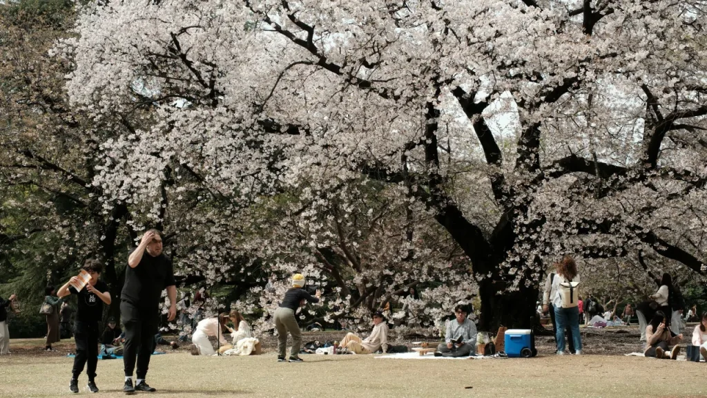 shinjuku gyeon tokyo