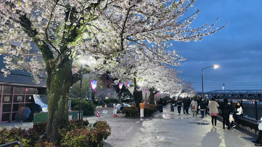 sumida park malam