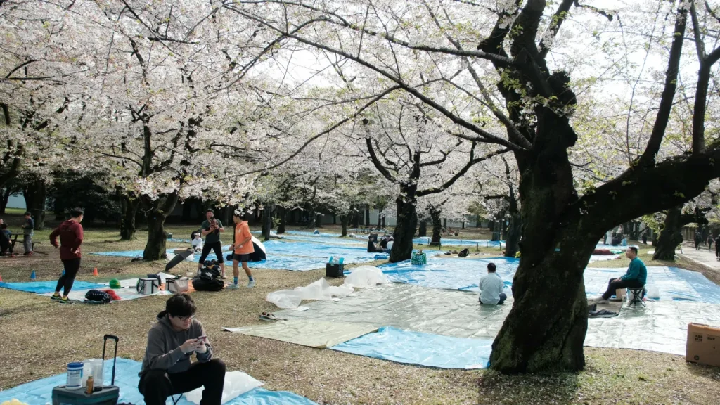 yoyogi park