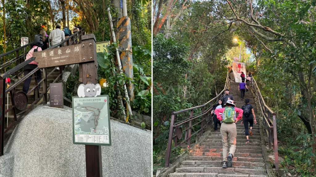 Elephant Mountain