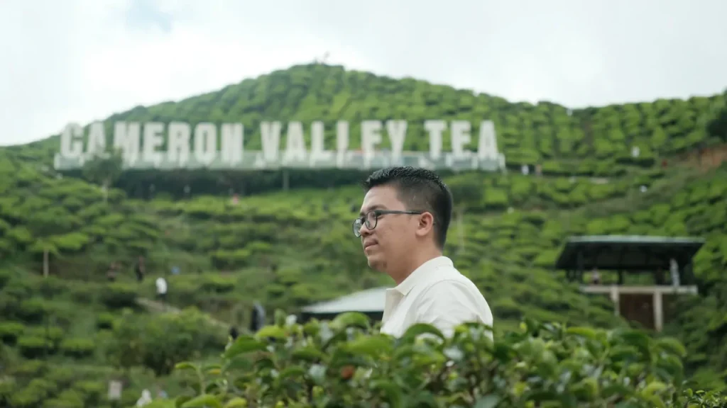 ladang teh cameron valley tea